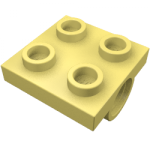 Plate Special 2 x 2 with 2 Pin Holes