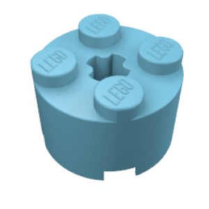 Brick Round 2 x 2 with Axle Hole