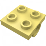 Plate Special 2 x 2 with 2 Pin Holes
